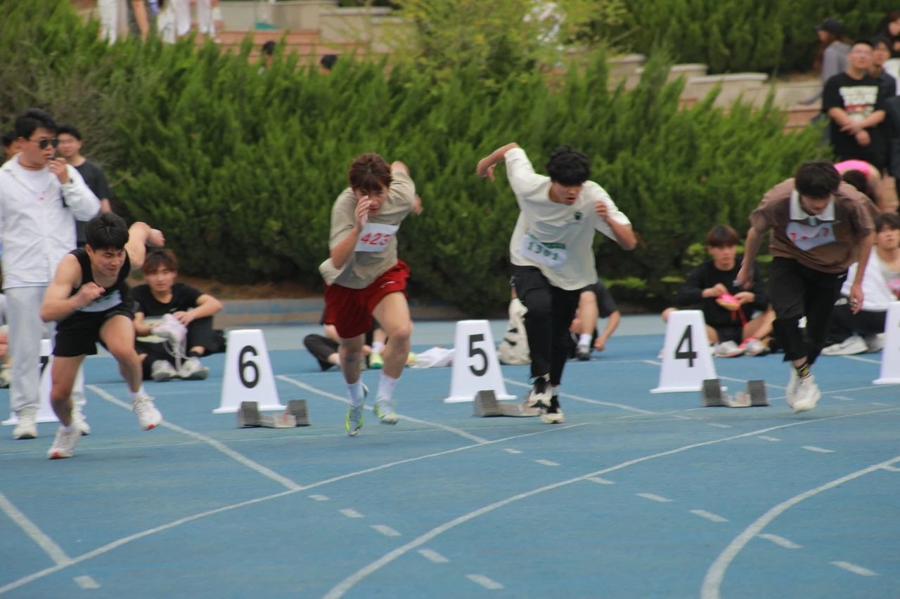 图示, 示意图
中度可信度描述已自动生成:ver1